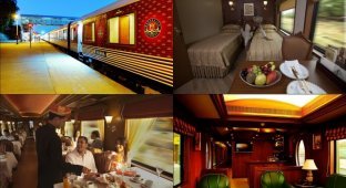 Самый роскошный поезд Индии (29 фото)