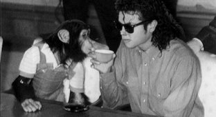 Любимый шимпанзе Майкла Джексона пытался покончить с собой, когда узнал, что его хозяина не стало (5 фото)