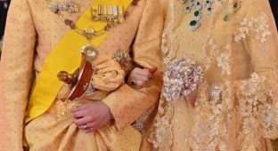 Султан Брунея с размахом женил сына (8 фото)