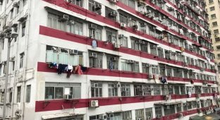 Апартаменты за 370 долларов в месяц в центре Гонконга (4 фото)