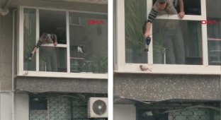 В Турции мужчина погрел замёрзшего голубя феном (3 фото + 1 видео)