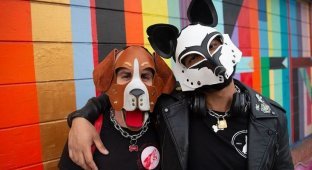 BDSM-сообщество "pup play", члены которого косят под собак (20 фото)