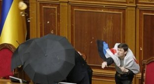 Разборки в правительстве Украины (18 фото + видео)