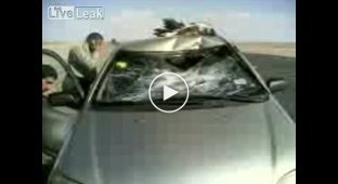 В Иране, Орел протаранил машину, жесть