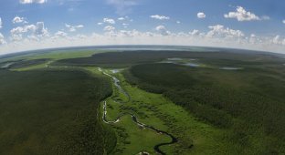 Природа Новосибирской области с высоты (2010) (35 фото)