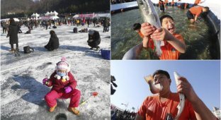Конкурс по ловле форели в Южной Корее (11 фото)