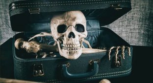 В аэропорту Мюнхена в багаже пассажирки нашли скелет ее покойного мужа (2 фото)