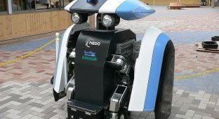Mujiro и Ligurio - два робота полицейских (9 фото + видео)