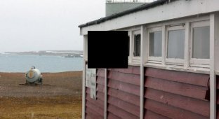 Незваный гость в гостинице на острове Шпицберген (5 фото)