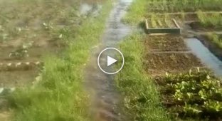 Наводнение в Канске