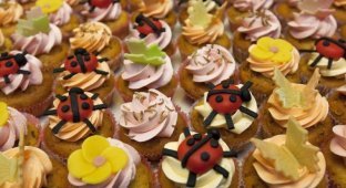 Пирожные из насекомых (9 фото)