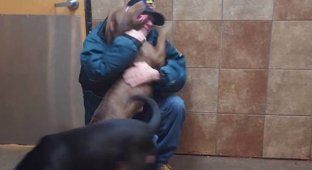 Мужчина пришел выкупить своих собак из приюта, слова сотрудницы заставили его заплакать! (3 фото + 1 видео)