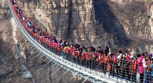 Сотни бесстрашных туристов столпились на самом длинном стеклянном мосту в мире (10 фото + 1 видео)