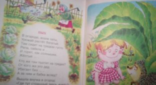 Фотки из детской книжки "Первые уроки для малышей"