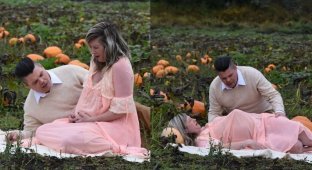 Пара устроила кровавую фотосессию для беременных в стиле «Чужого» (23 фото)