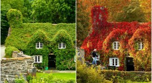Осенние преображения: пейзажи до и после (24 фото)