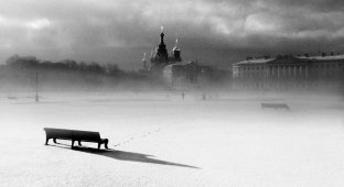 Красота зимы в минималистичных фотографиях известнейших фотографов мира (12 фото)