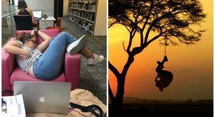 Девушка уснула в библиотеке: битва фотошоперов (27 фото)