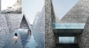 Новый фантастический бассейн в Копенгагене: такого вы еще не видели! (8 фото)