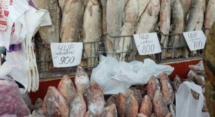 Цены на рыбу в Якутске (8 фото)
