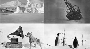 Антарктические экспедиции (20 фото)