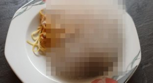 Забыл на неделю спагетти с грибами в микроволновке (2 фото)