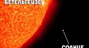 Учёные сфотографировали звезду Бетельгейзе в созвездии Ориона (6 фото)