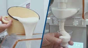 Белорусские ученые создали мороженое со вкусом мяса (4 фото + 1 видео)