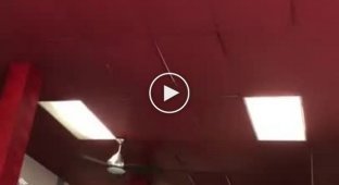 Девушка проломила потолок в американском ресторане быстрого питания