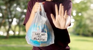 Южная Корея отказывается от пластиковых пакетов (4 фото)