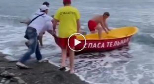 Высокий профессионализм пляжных спасателей в Сочи рассмешил отдыхающих (мат)