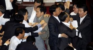 Драка в парламенте Южной Кореи (20 фото)