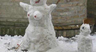 Забавные снеговики и прочее (27 фото)