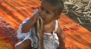 Индийские малыши вместо игрушек играют с мёртвыми змеями (3 фото)