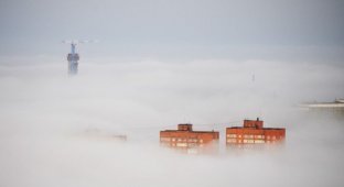 Туман Владивостока (32 фото)