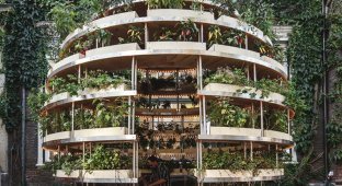 «Зелёная комната»: дизайн вертикального сада при поддержке IKEA (10 фото)