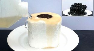 Как воздействует серная кислота на туалетную бумагу (2 фото + 1 видео)
