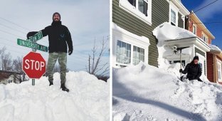 «Снегомагедон»: В Канаде выпало рекордное количество снега (19 фото)