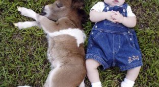 25 красивых фотографий о дружбе детей с благородными животными  (25 фото)
