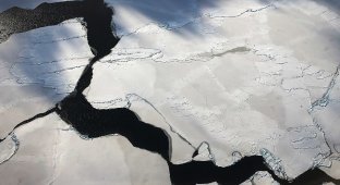 Лед Южного Полюса не растаял с 1900-х: ученые исследовали данные героического века Антарктики (10 фото)