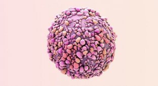 Ученые нашли клетку, вызывающую рак (4 фото)