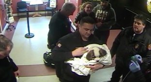 Драматическое спасение щенка, снятое камерой в полицейском участке (5 фото + 1 видео)