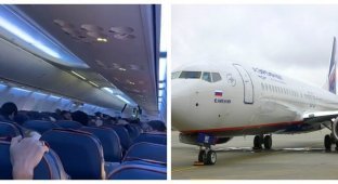 "На лицах людей был страх": в Краснодаре самолёт совершил аварийную посадку (3 фото + 2 видео)