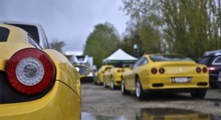 Сбор Ferrari клуба Бельгии (60 фото + 2 видео)
