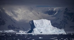 Антарктида в объективе (22 фото)