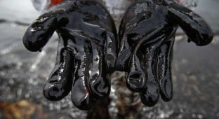 10 неожиданных направлений применения нефти (11 фото)