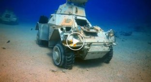 Приманка для туристов военную технику затопили в Красном море