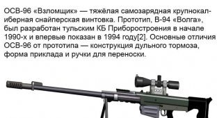 Русские снайперские винтовки (2 фото)