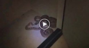 Как отлавливали змей в американском гараже