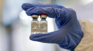 «Впереди планеты всей»: в США с завистью раскритиковали российскую вакцину от коронавируса (1 фото)